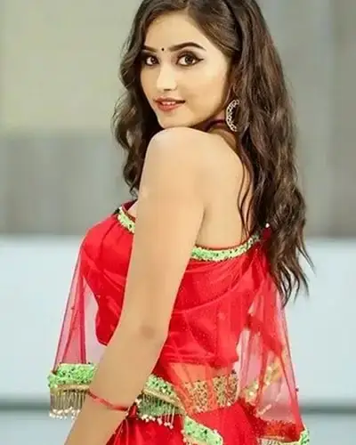 Call Girls Service Penukonda